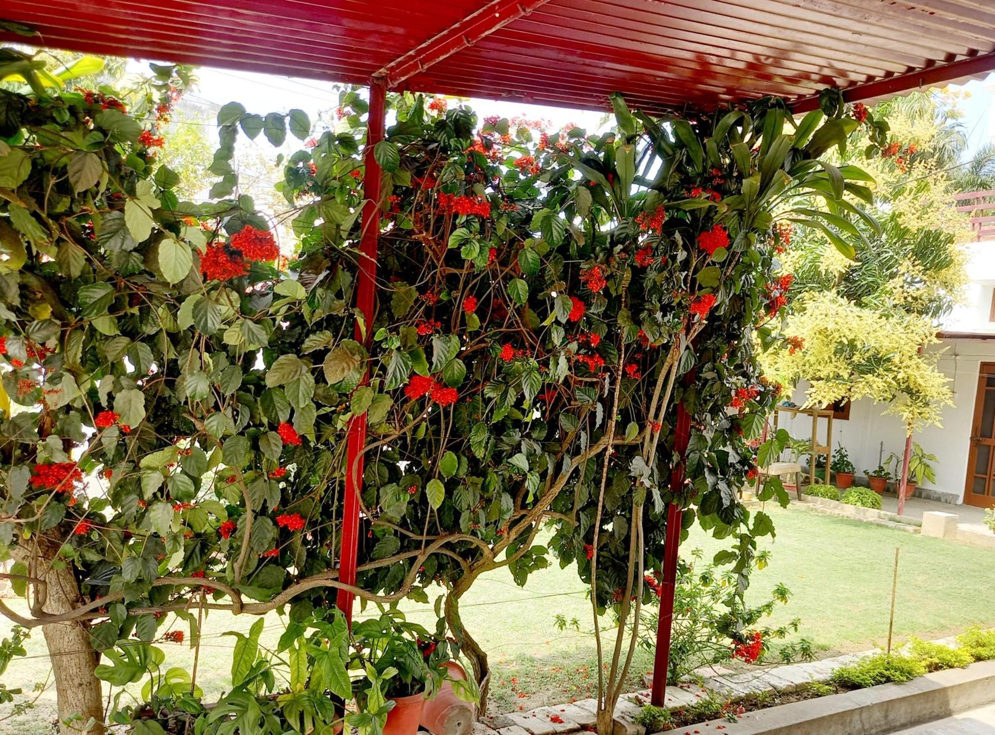 Bed and Breakfast Garden View Residency Лакхнау Екстер'єр фото